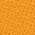 PEKKA 2049 15 : Orange 15