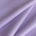 BIOSAT 19 : Lilas 19