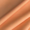 BIOSAT 06 : Mandarine 06