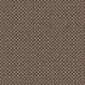 CHARLOTTE 2137 111 : Chamois 111