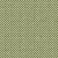 CHARLOTTE 2137 103 : Tilleul 103