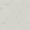 NUAGE 2003 11 : Lin 11