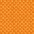 CHARLOTTE 2137 15 : Orange 15