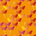 PELAGIE 2048 15 : Orange 15