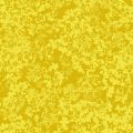 SURI 2062 46 : Jaune 46